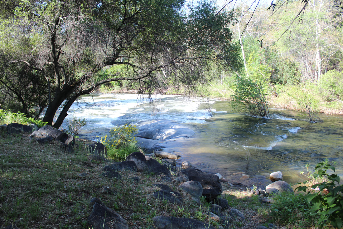 Oak Tree 8 Ppl Sequoia Vacation Rentals Inc